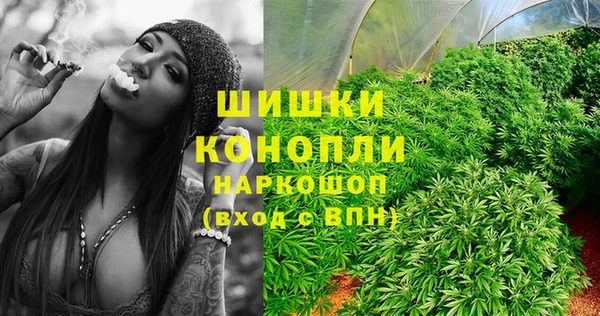 PSILOCYBIN Беломорск